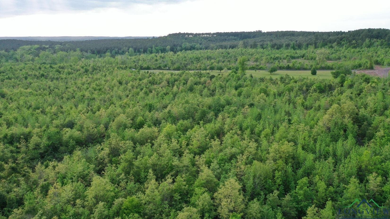 17.5 acres in Cass County - photo 3