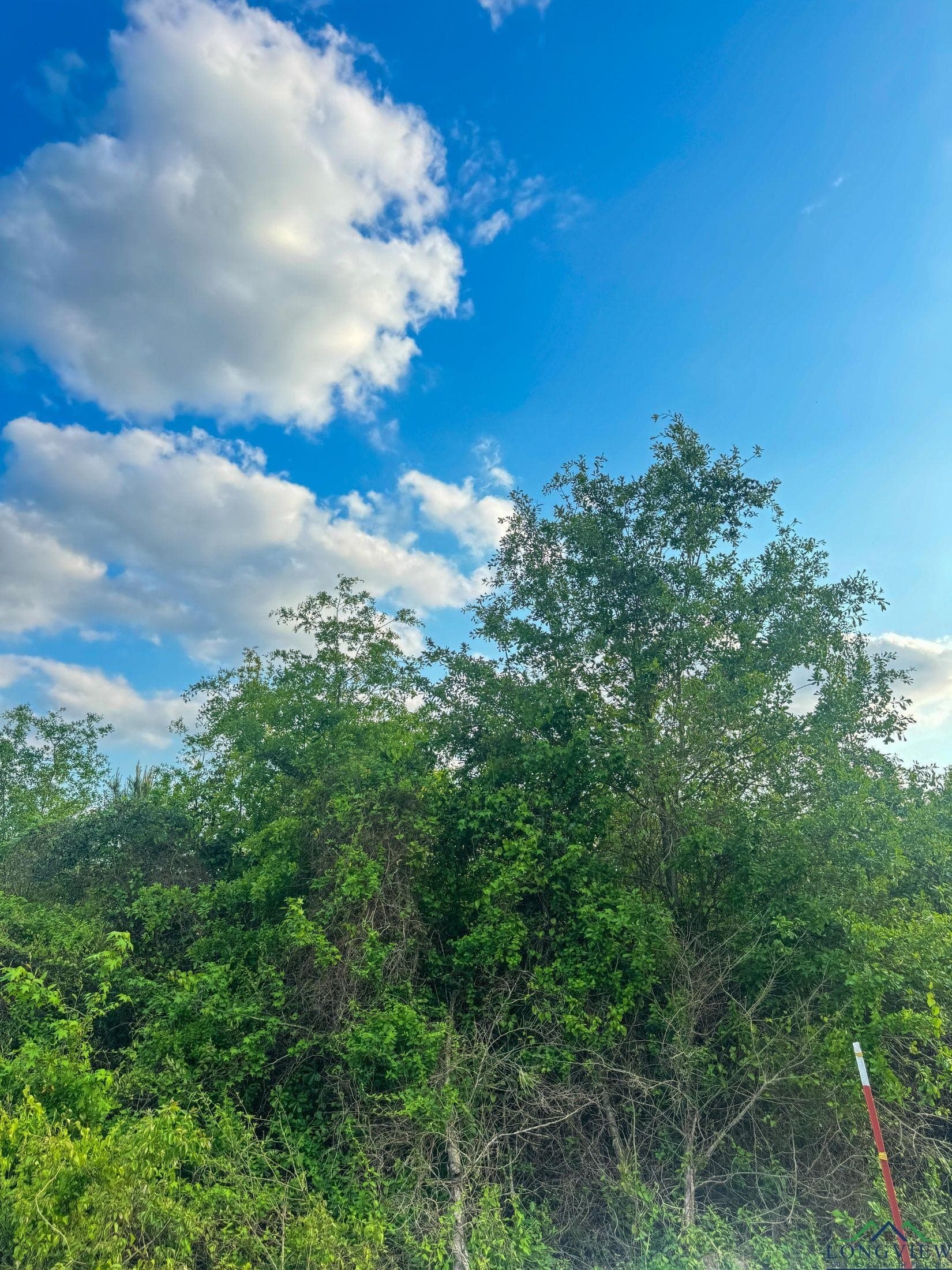 17.5 acres in Cass County - photo 18