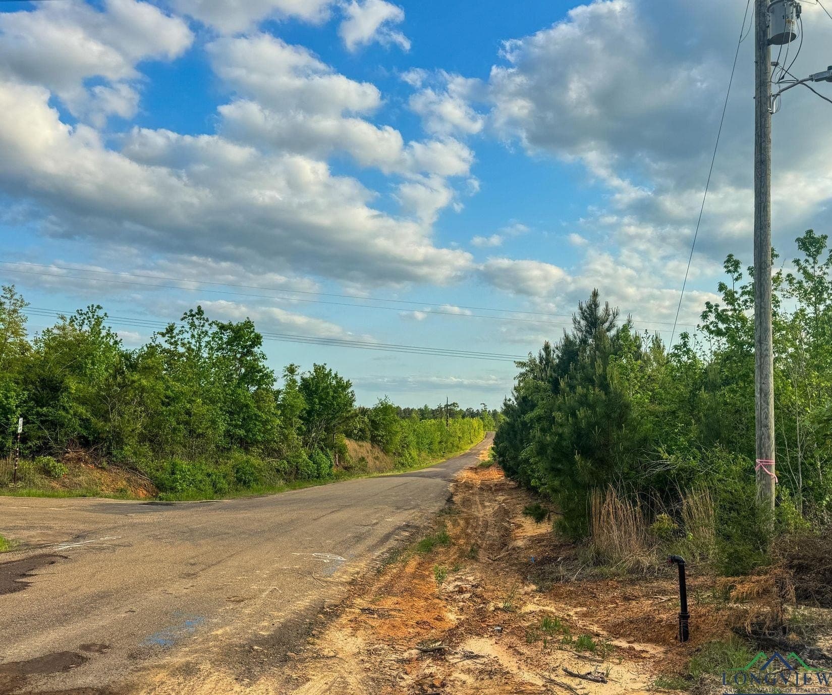 17.5 acres in Cass County - photo 20