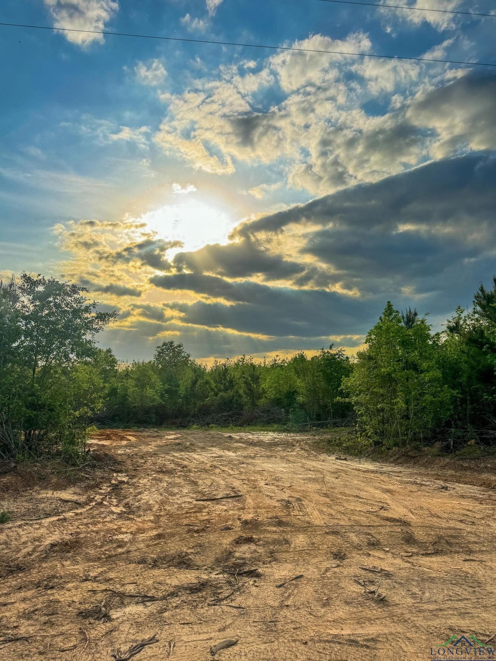 17.5 acres in Cass County - photo 17