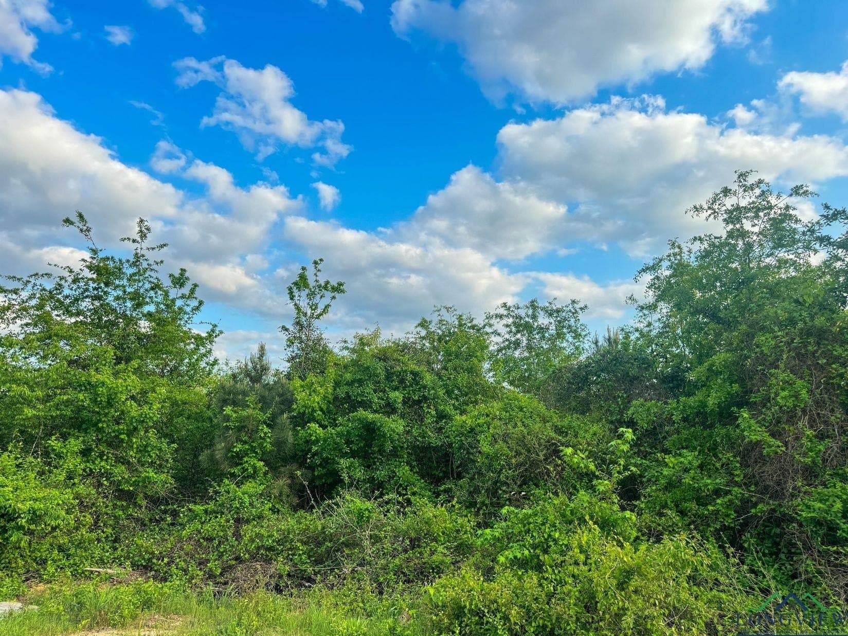 17.5 acres in Cass County - photo 19