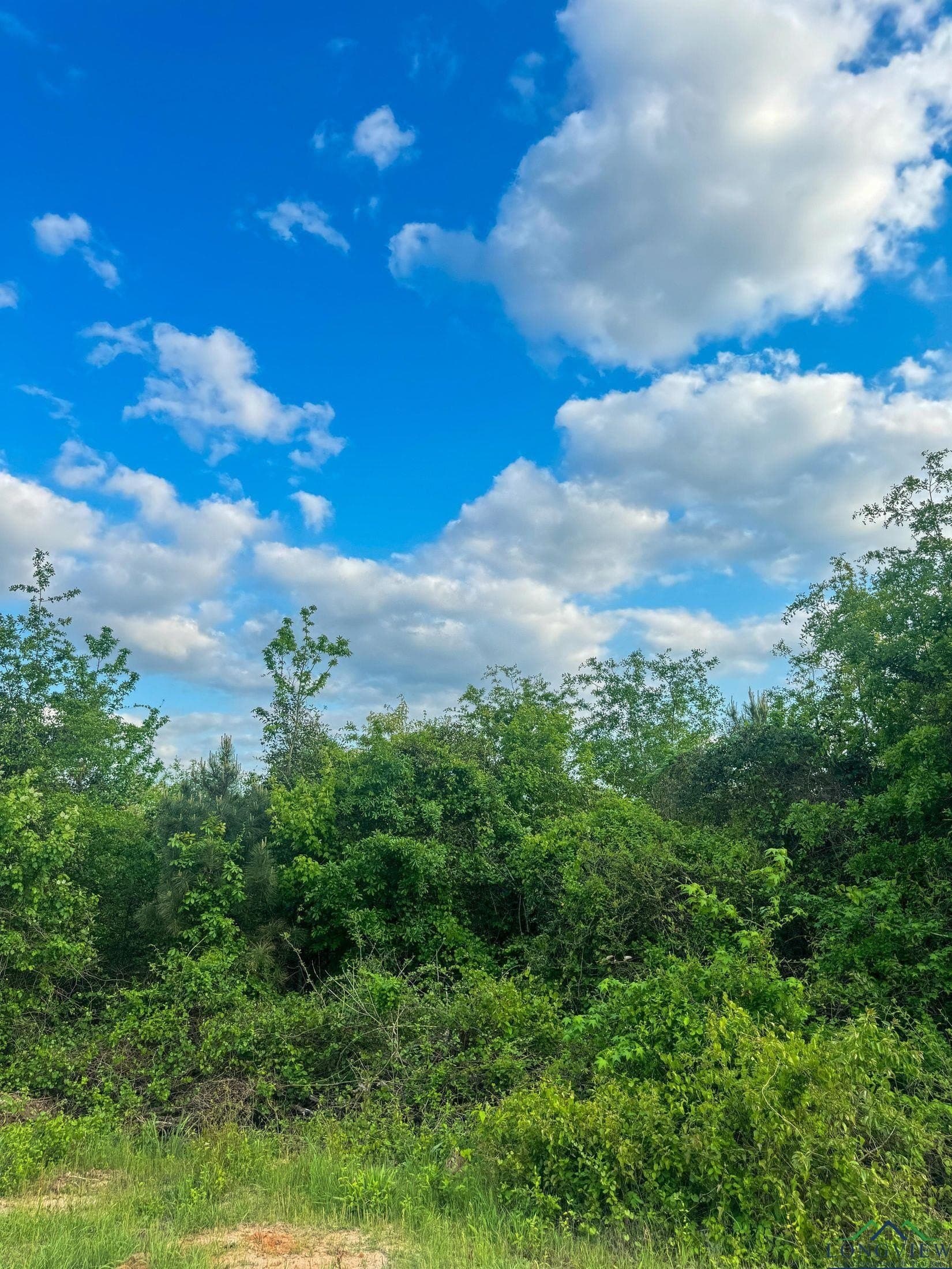 17.5 acres in Cass County - photo 13