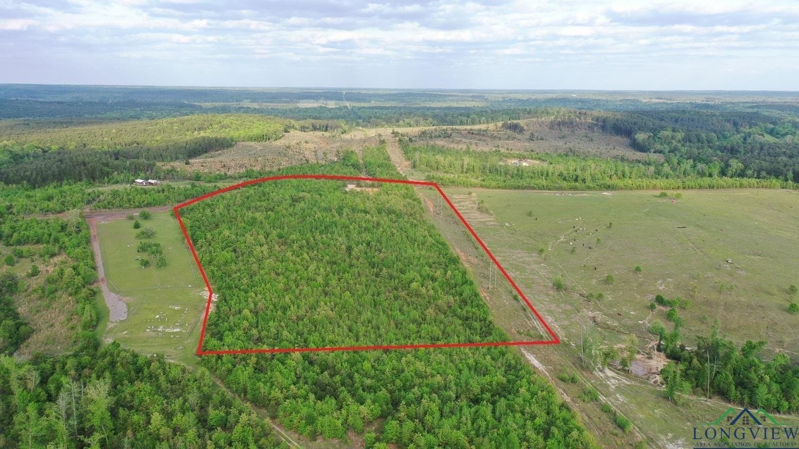 695 County Road 1463