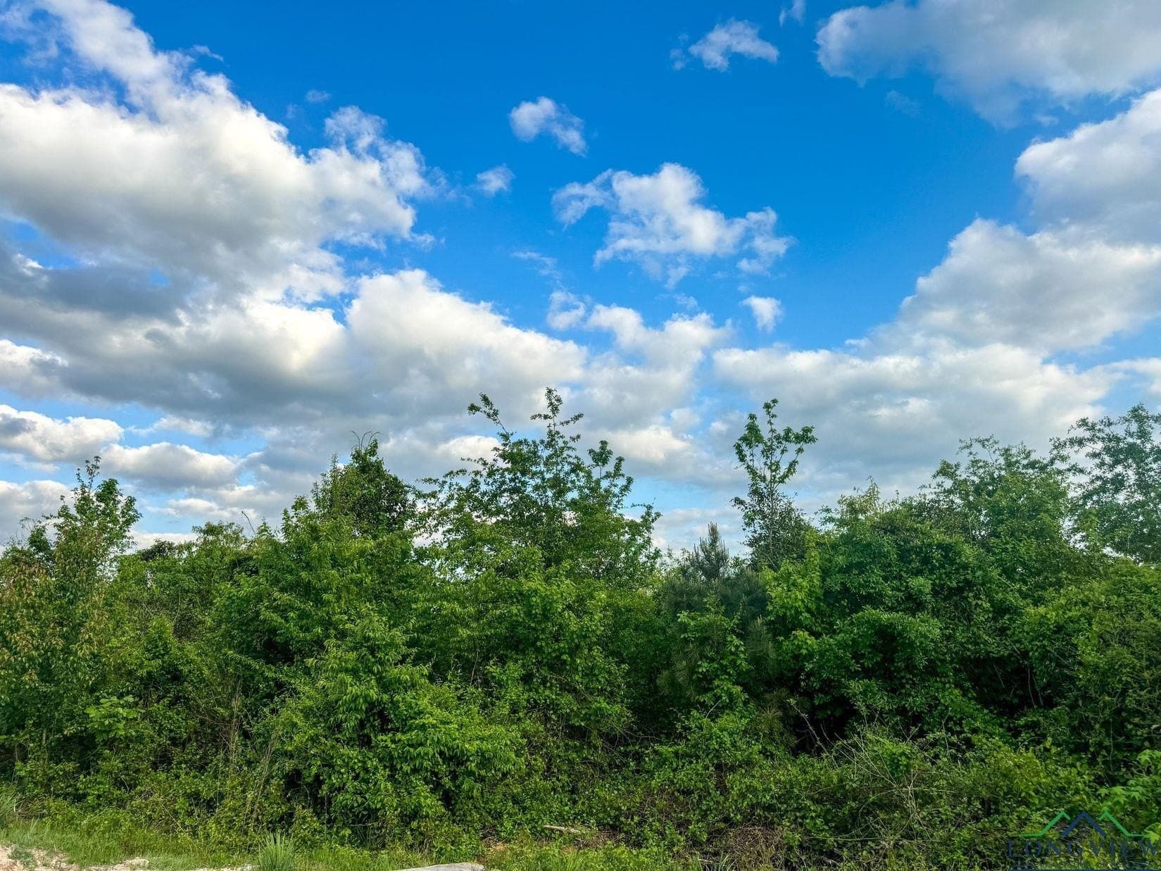 17.5 acres in Cass County - photo 14