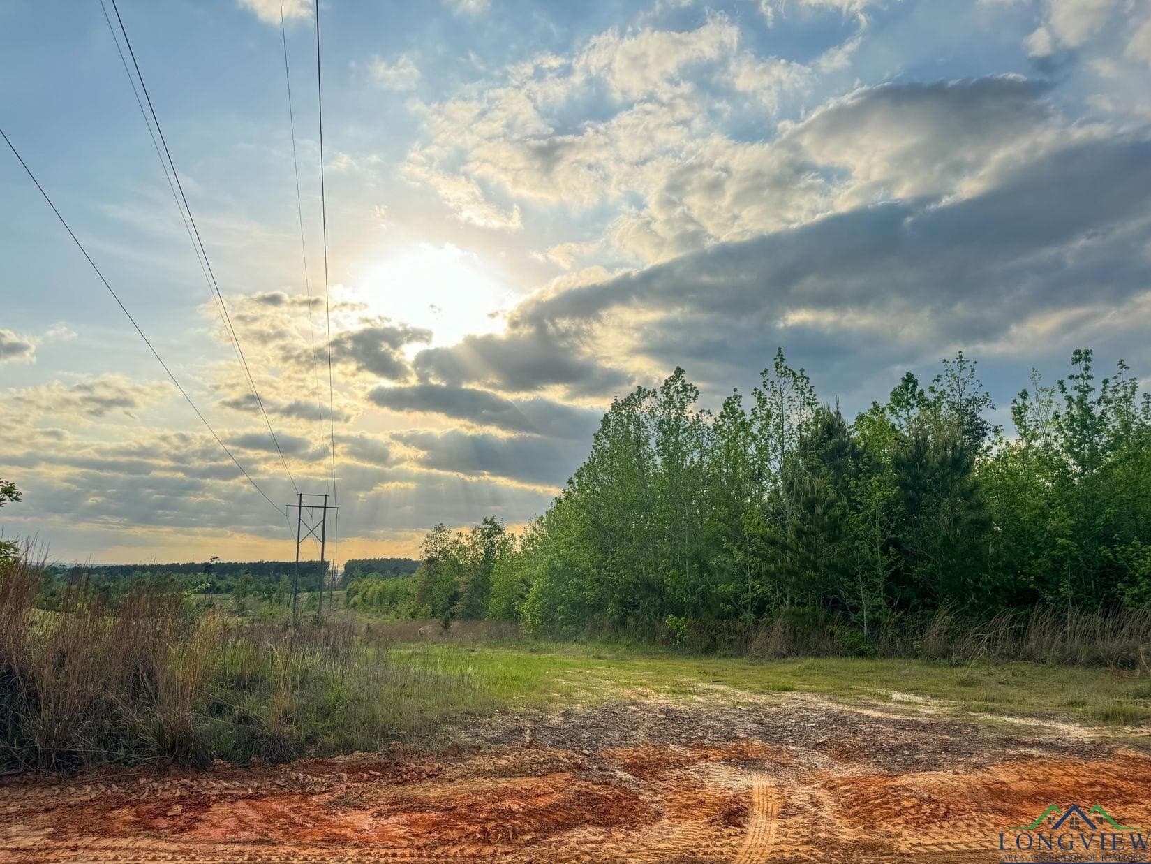 17.5 acres in Cass County - photo 8