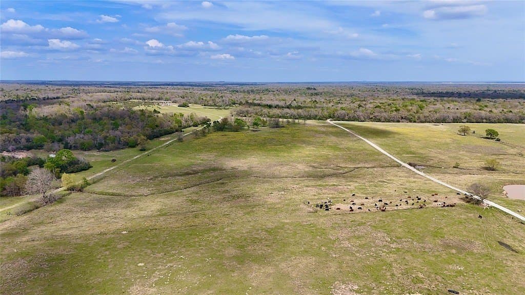 21.84 acres in Limestone County - photo 6