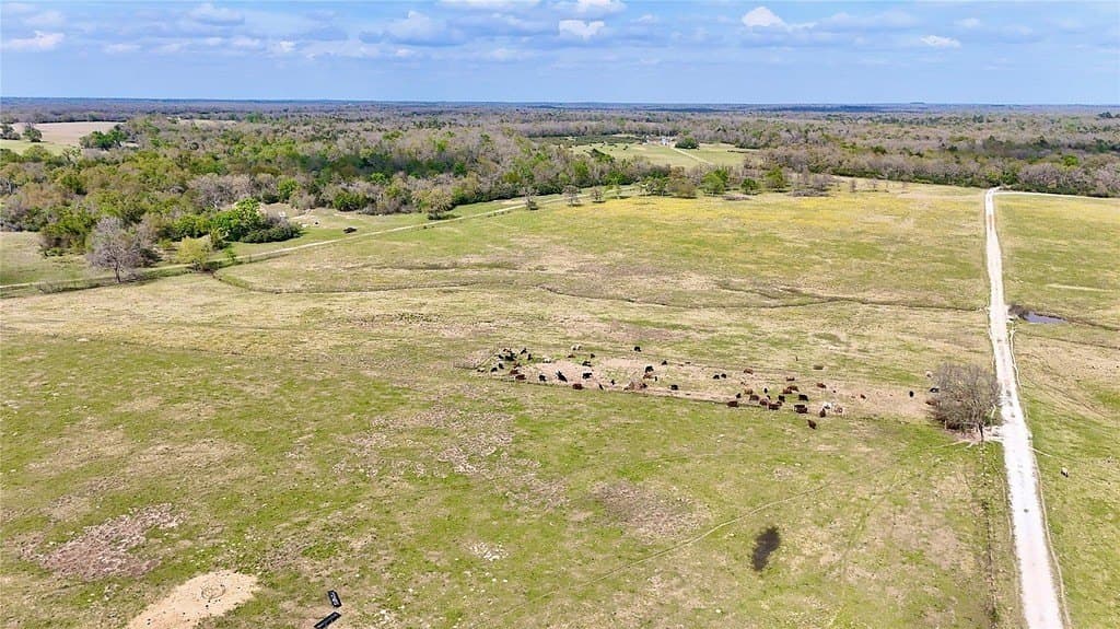21.84 acres in Limestone County - photo 2