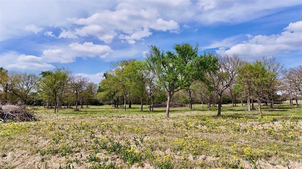 21.84 acres in Limestone County - photo 3