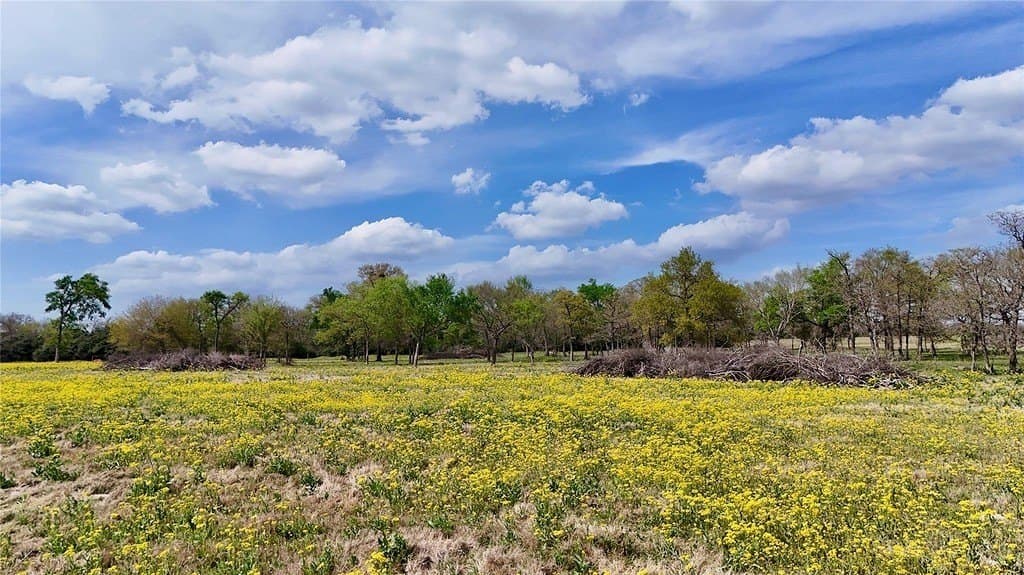 21.84 acres in Limestone County - photo 4