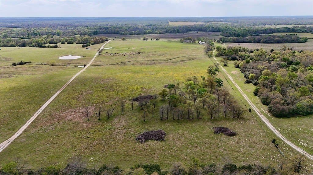 21.84 acres in Limestone County - photo 5