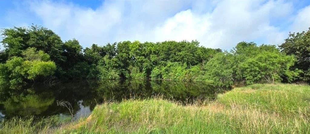10.1 acres in Robertson County - photo 5