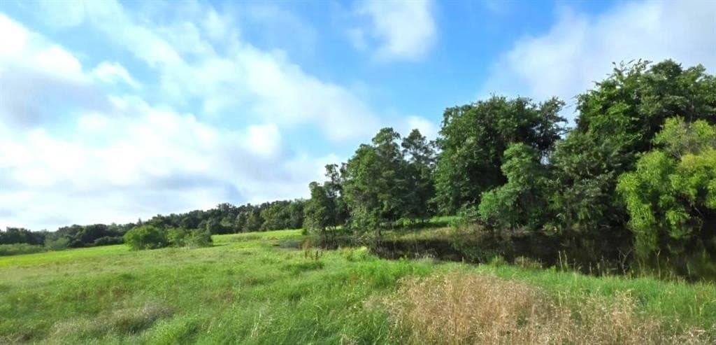 10.1 acres in Robertson County - photo 4