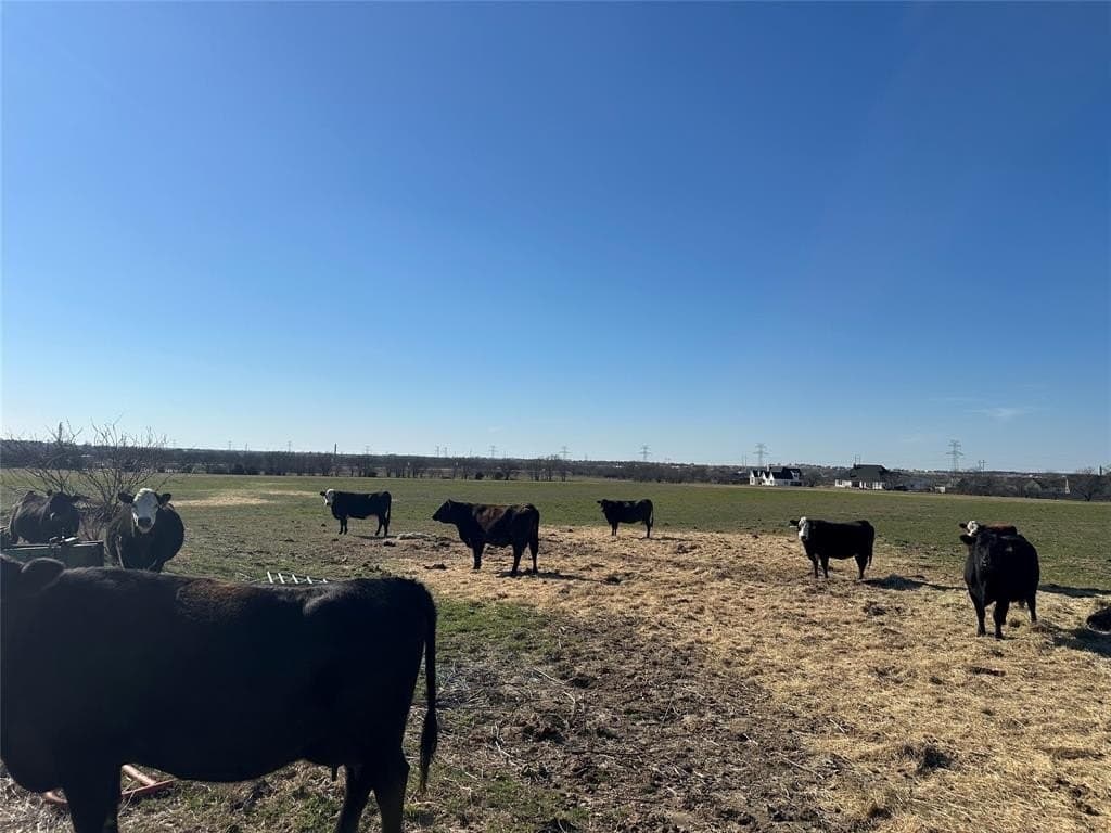 40.4 acres in Johnson County - photo 8