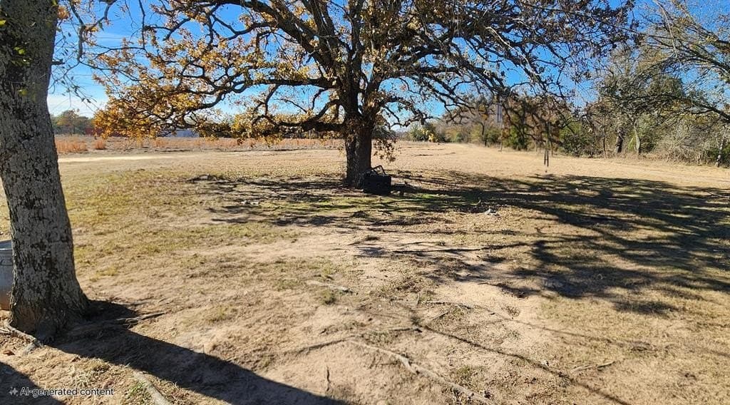 8 acres in Henderson County - photo 21