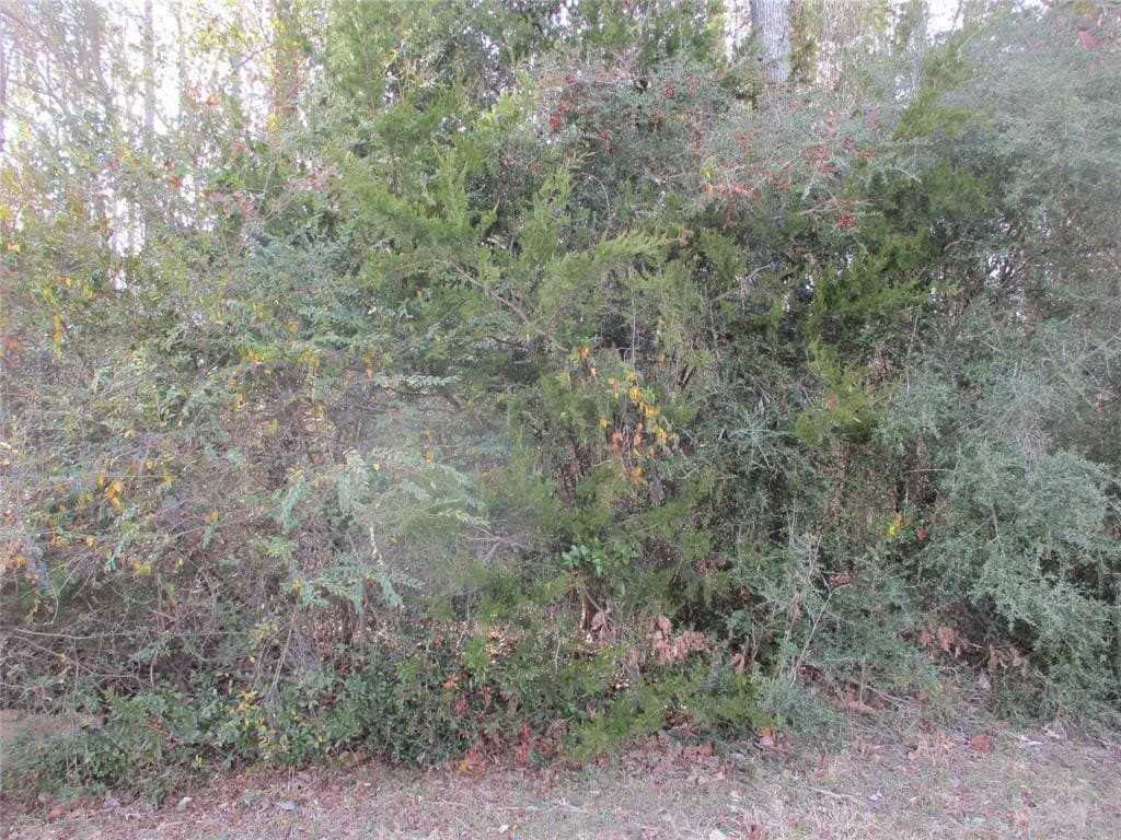 6.62 acres in Wood County - photo 2