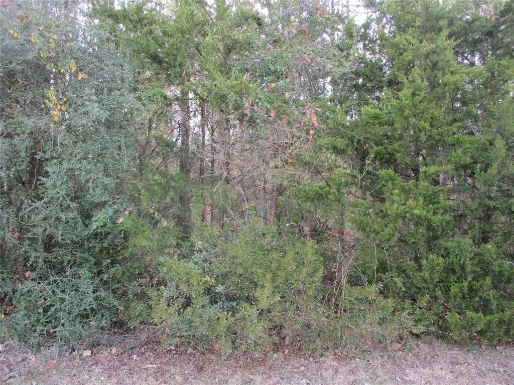 6.62 acres in Wood County - photo 3