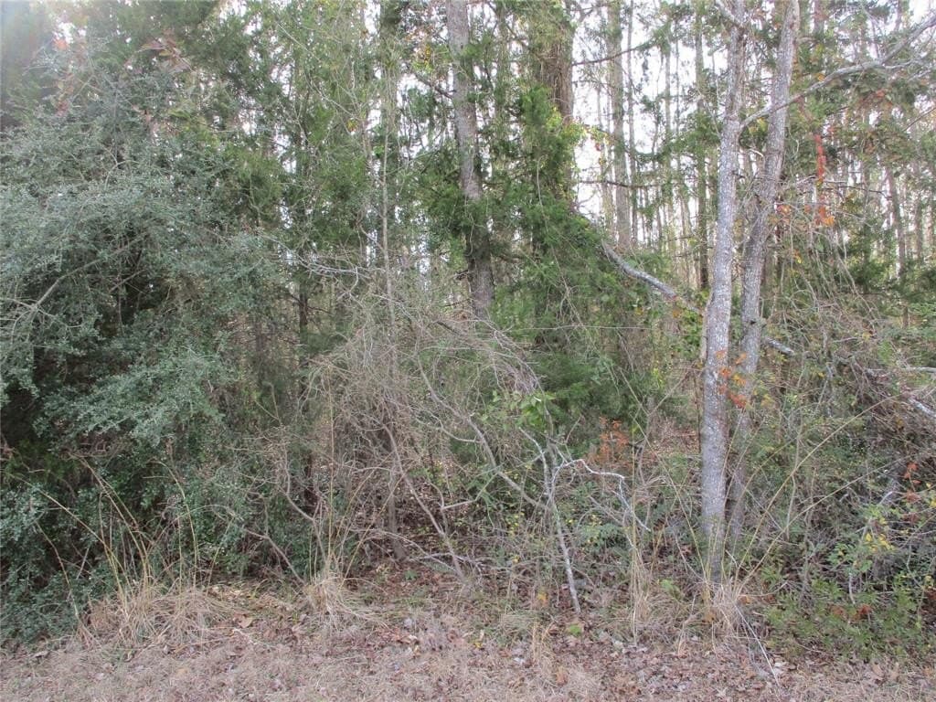 6.62 acres in Wood County - photo 4