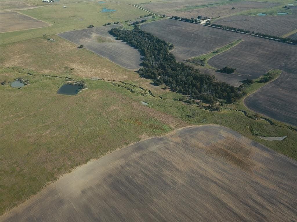 105.2 acres in Falls County - photo 5