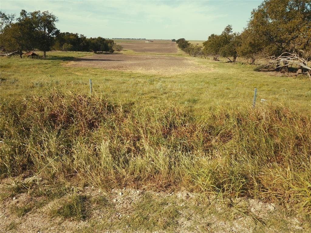 105.2 acres in Falls County - photo 8