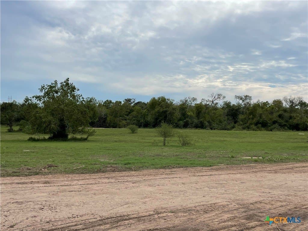 7.3 acres in Victoria County - photo 7
