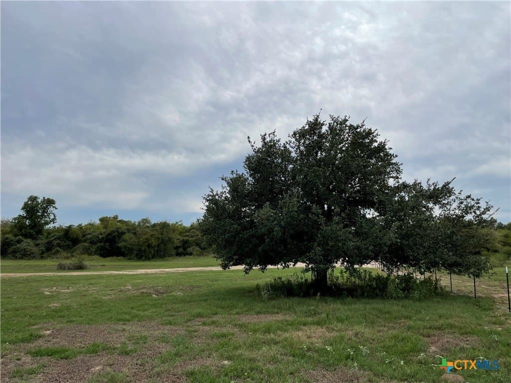 7.3 acres in Victoria County - photo 4