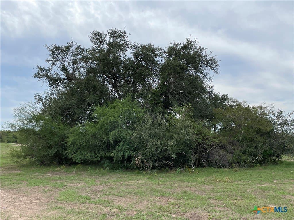 7.3 acres in Victoria County - photo 6