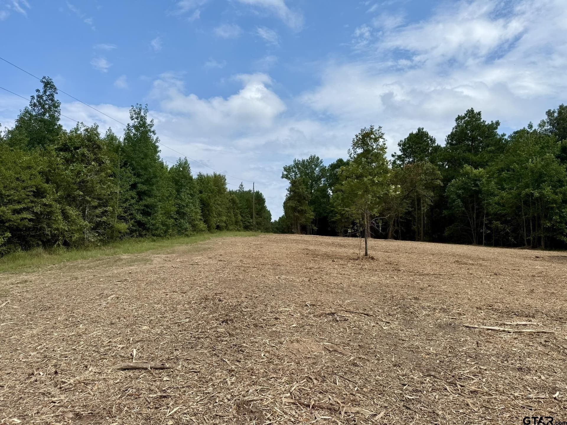 7.9 acres in Marion County - photo 8