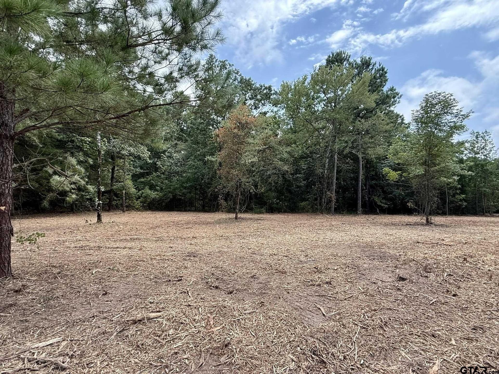7.9 acres in Marion County - photo 7