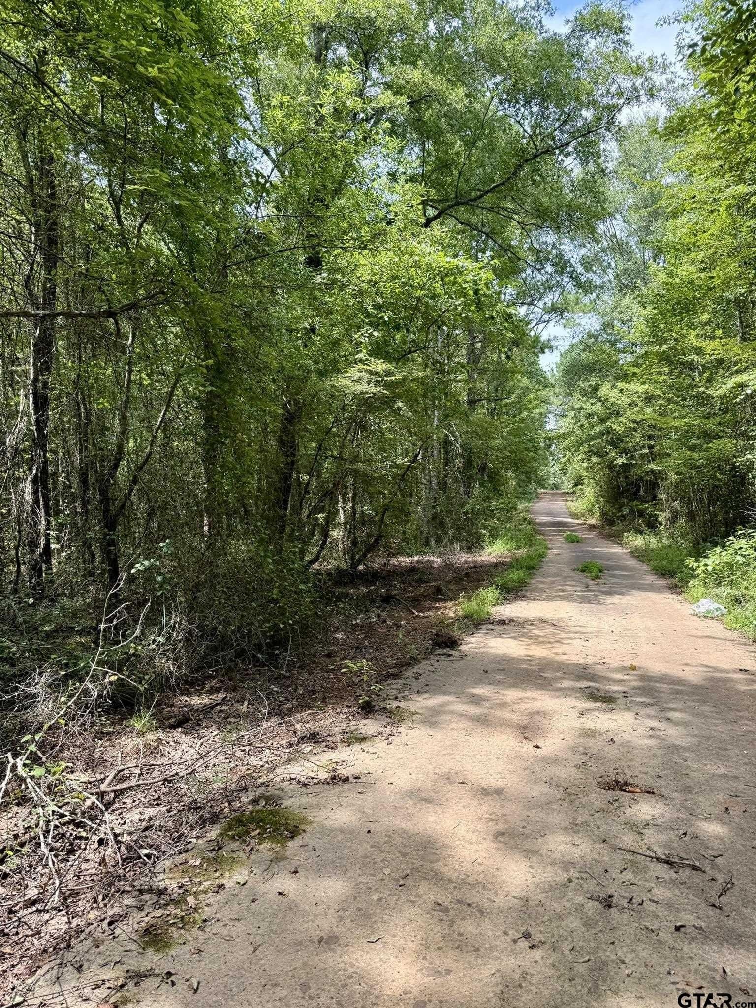 7.9 acres in Marion County - photo 2