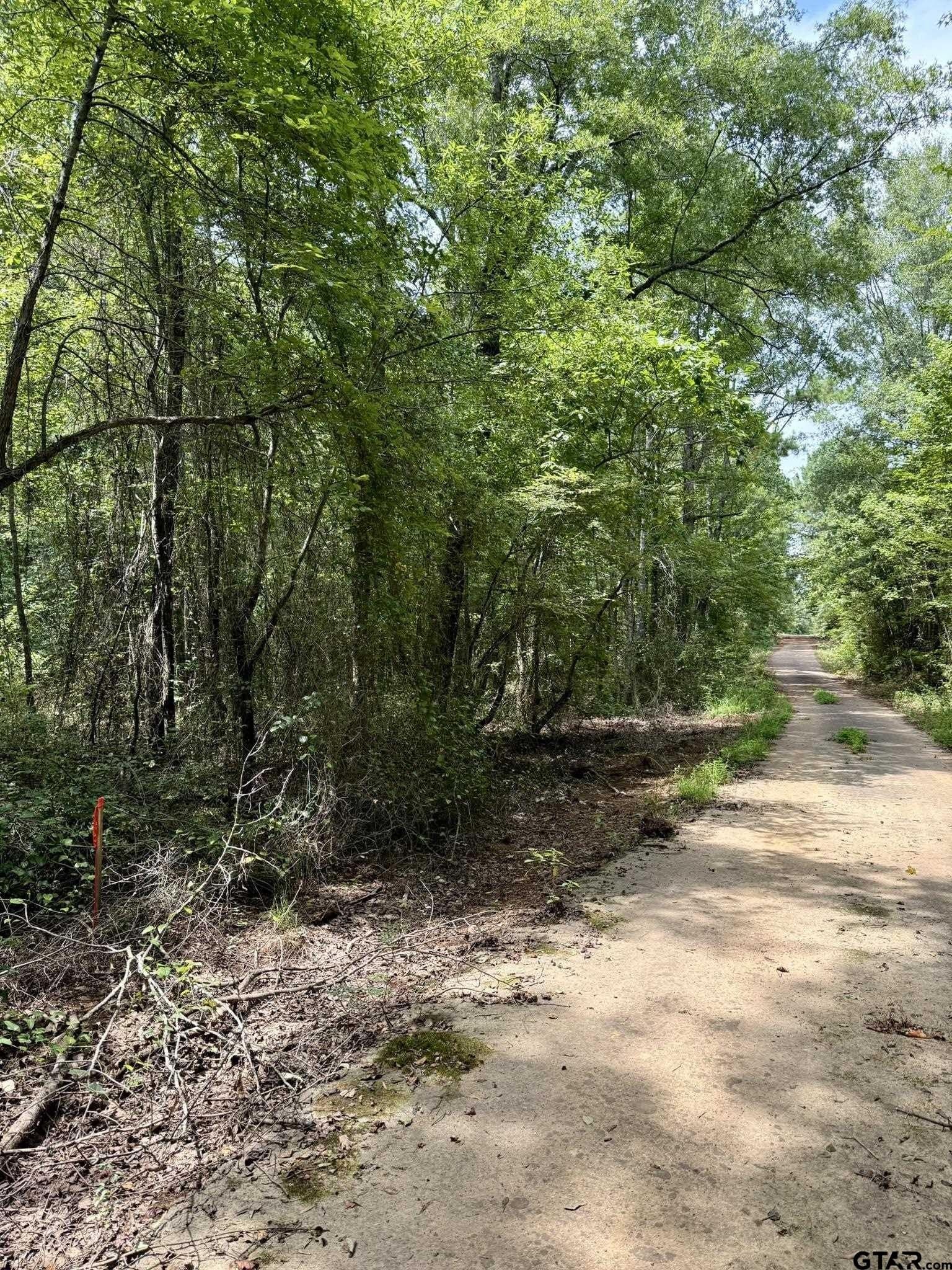7.9 acres in Marion County - photo 3