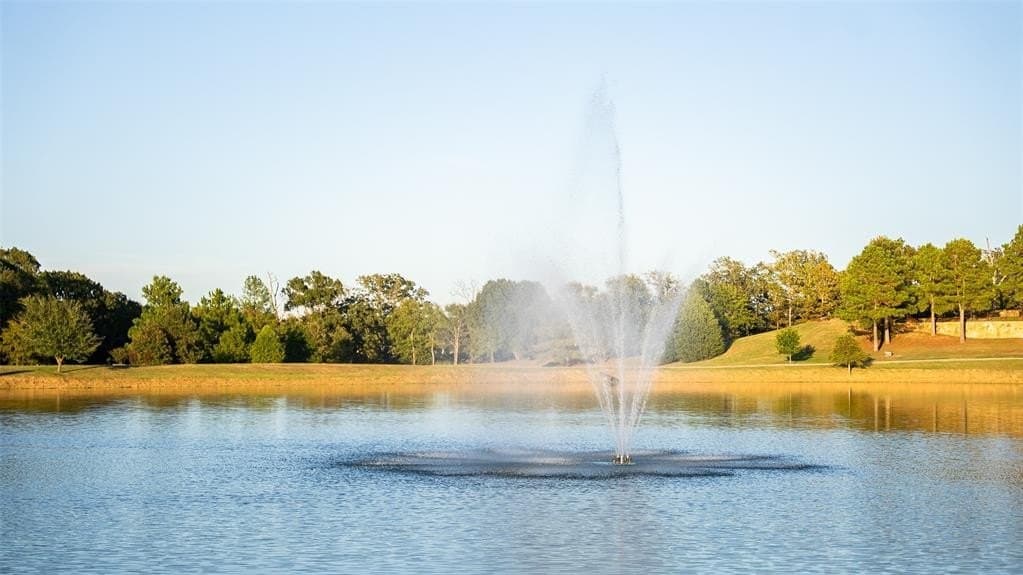 73.48 acres in Henderson County - photo 35