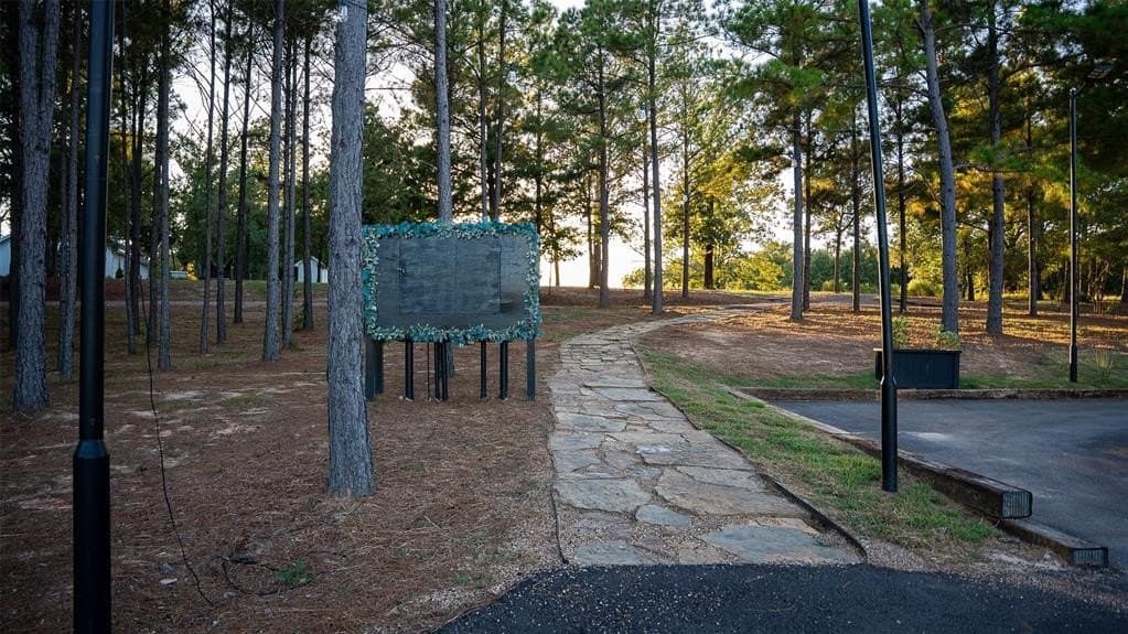 73.48 acres in Henderson County - photo 33