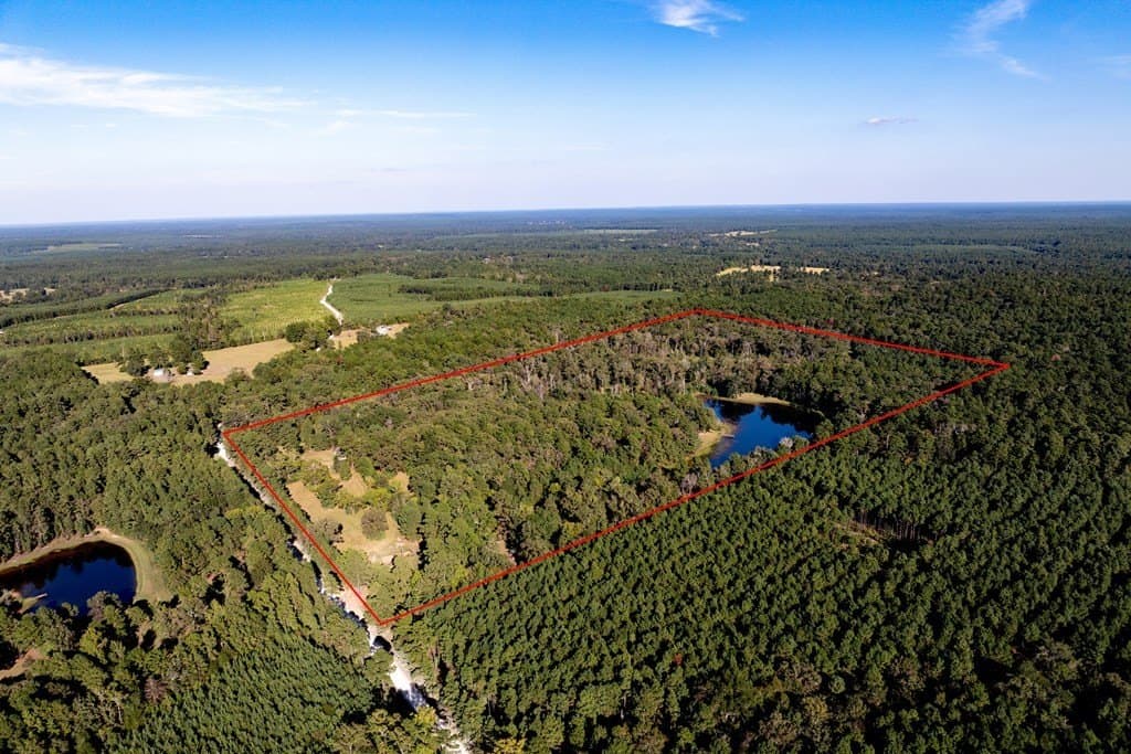 50 acres in HOUSTON County - photo 11