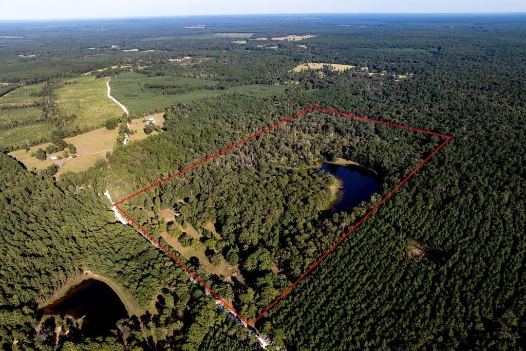 50 acres in HOUSTON County - photo 9