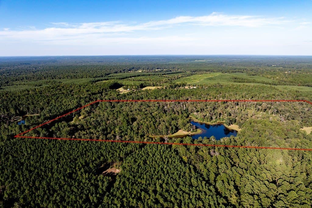50 acres in HOUSTON County - photo 15