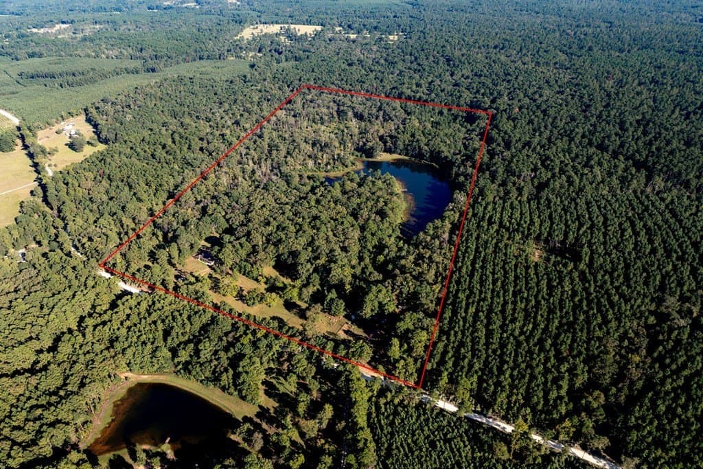 50 acres in HOUSTON County - photo 7