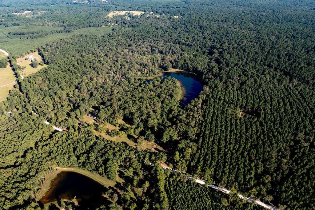 50 acres in HOUSTON County - photo 8