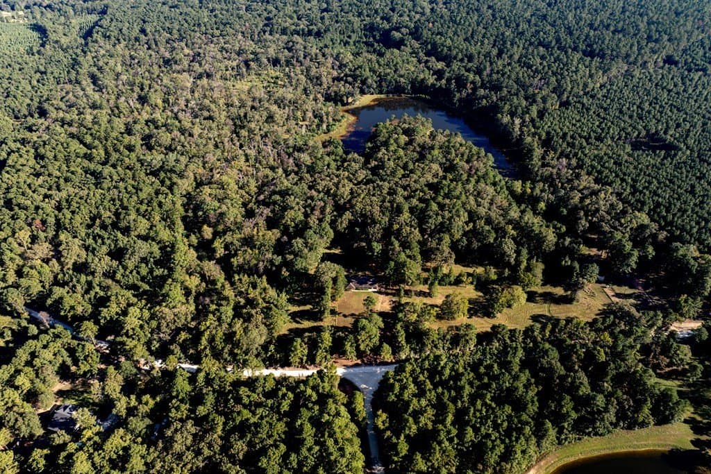 50 acres in HOUSTON County - photo 4