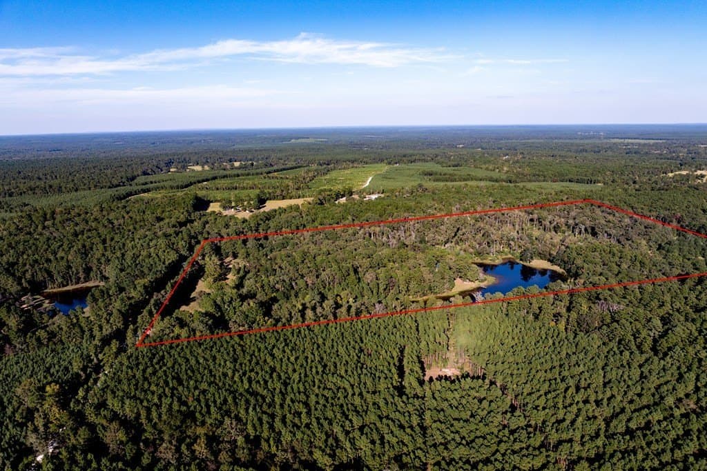 50 acres in HOUSTON County - photo 13