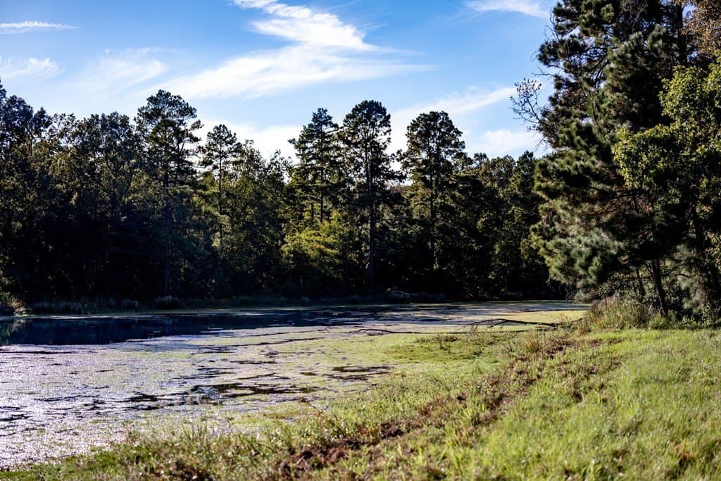 50 acres in HOUSTON County - photo 22