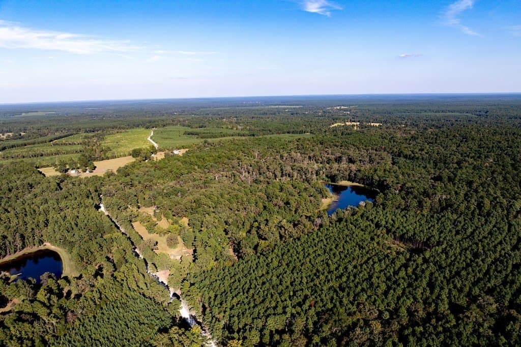 50 acres in HOUSTON County - photo 12