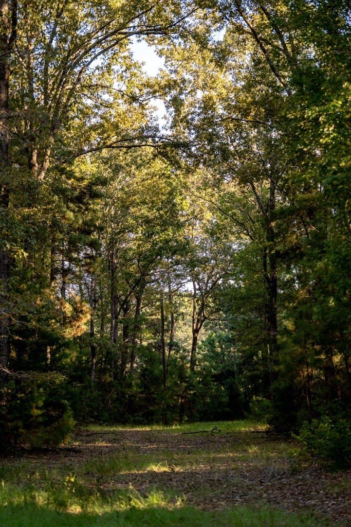 50 acres in HOUSTON County - photo 24
