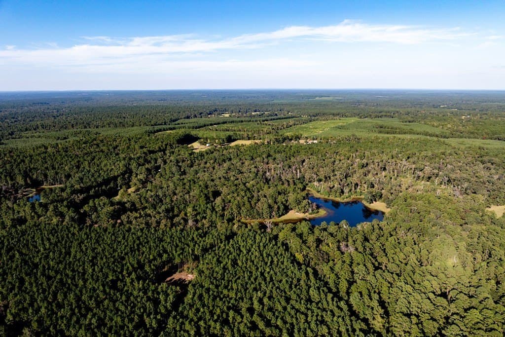50 acres in HOUSTON County - photo 16