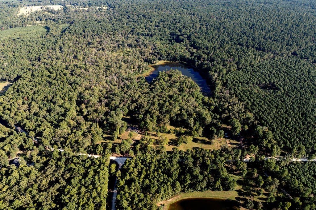 50 acres in HOUSTON County - photo 6