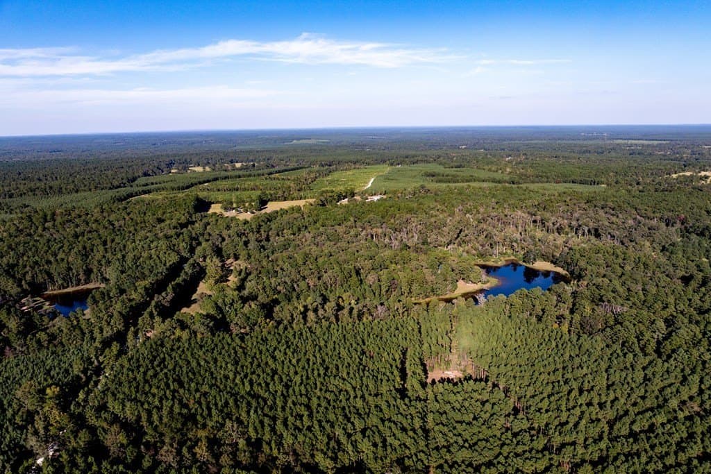 50 acres in HOUSTON County - photo 14