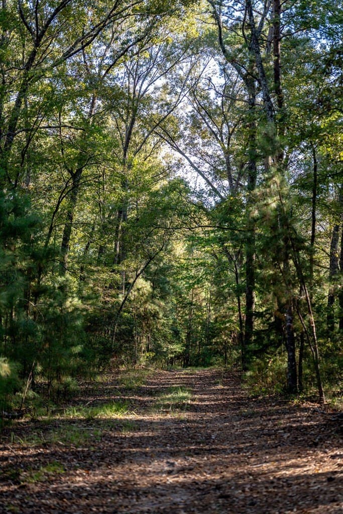 50 acres in HOUSTON County - photo 21