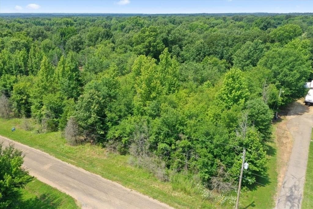2.41 acres in Titus County - photo 8