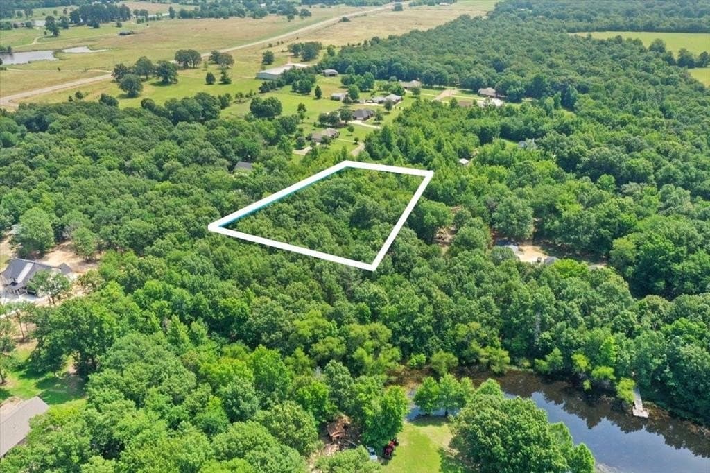2.41 acres in Titus County - photo 6