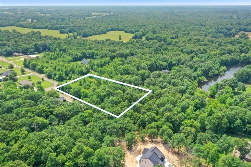 2.41 acres in Titus County - photo 4