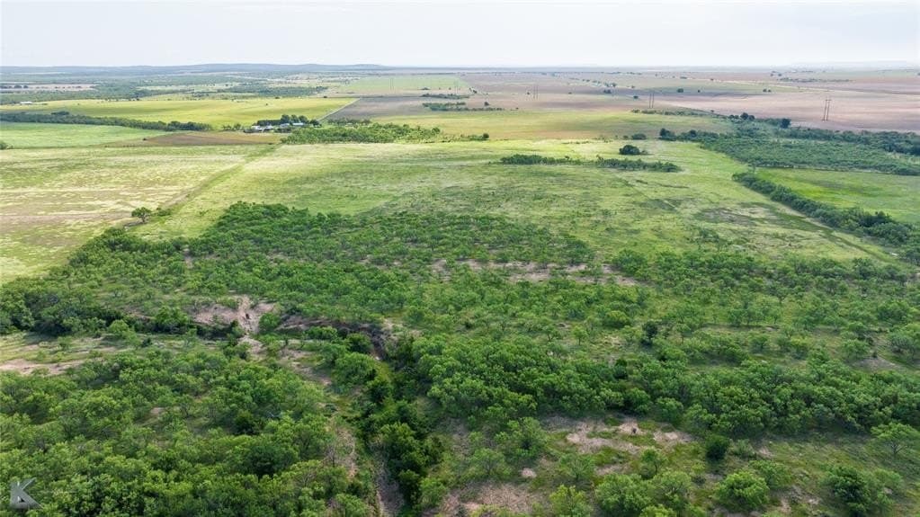 59.97 acres in Runnels County - photo 6
